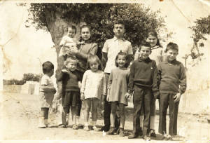 image4.jpg